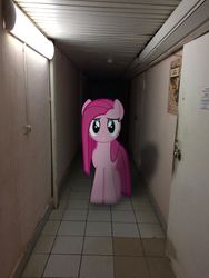 Size: 2448x3264 | Tagged: safe, pinkie pie, earth pony, pony, g4, female, high res, irl, mare, photo, pinkamena diane pie, ponies in real life, run for your lives