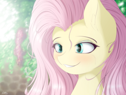 Size: 4000x3000 | Tagged: safe, artist:maneingreen, fluttershy, pegasus, pony, g4, blushing, cheek fluff, ear fluff, female, mare, smiling, solo