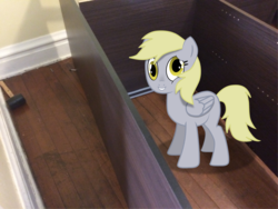 Size: 3265x2449 | Tagged: safe, artist:sciencesean, derpy hooves, pegasus, pony, g4, high res, ikea, irl, looking at you, photo, ponies in real life, solo, standing