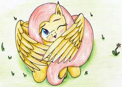Size: 2406x1709 | Tagged: safe, artist:40kponyguy, derpibooru exclusive, fluttershy, pegasus, pony, g4, :3, :p, blushing, cute, ear fluff, female, grass, head tilt, hiding behind wing, looking at you, looking up at you, one eye closed, shyabetes, silly, solo, tongue out, traditional art