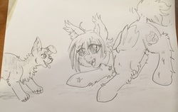Size: 3548x2236 | Tagged: safe, artist:chibichangeling, oc, oc only, oc:chocolate marshmallow, bat pony, dog, pony, bat pony oc, chest fluff, ear fluff, fluffy, high res, puppy, sketch, tongue out, traditional art