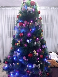 Size: 3456x4608 | Tagged: safe, applejack, fluttershy, pinkie pie, rarity, twilight sparkle, g4, christmas, christmas tree, holiday, irl, photo, toy, tree