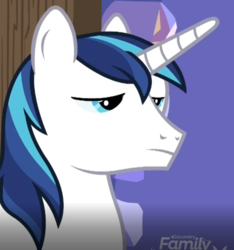 Size: 739x788 | Tagged: safe, screencap, shining armor, pony, unicorn, g4, my little pony best gift ever, cropped, male, shining armor is not amused, solo, unamused