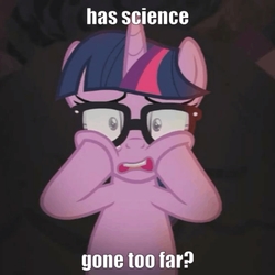 Size: 720x720 | Tagged: safe, edit, edited screencap, screencap, sci-twi, twilight sparkle, pony, unicorn, equestria girls, equestria girls series, g4, spring breakdown, spoiler:eqg series (season 2), caption, chubby cheeks, female, has science gone too far?, image macro, ponified, shocked expression, solo, squishy cheeks, text, unicorn sci-twi, what has magic done, what has science done