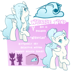 Size: 1024x1024 | Tagged: safe, artist:midnightpremiere, oc, oc only, oc:whistle wind, pegasus, pony, female, mare, raised hoof, reference sheet, solo
