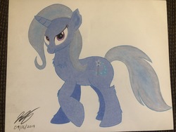 Size: 2048x1536 | Tagged: safe, artist:schufflez4380, trixie, pony, g4, chest fluff, female, solo, traditional art