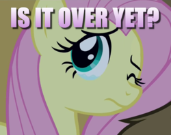 Size: 604x478 | Tagged: safe, edit, edited screencap, screencap, fluttershy, harry, 28 pranks later, g4, caption, crying, cute, image macro, question, sad, sadorable, shyabetes, text