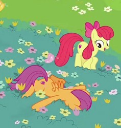 Size: 504x531 | Tagged: safe, screencap, apple bloom, scootaloo, earth pony, pegasus, pony, g4, growing up is hard to do, bow, cropped, cutie mark, duo, faceplant, female, flower, hair bow, mare, older, older apple bloom, older scootaloo, the cmc's cutie marks