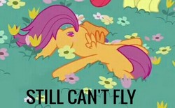 Size: 440x272 | Tagged: safe, edit, edited screencap, screencap, scootaloo, pegasus, pony, g4, growing up is hard to do, cropped, cutie mark, faceplant, older, older scootaloo, scootaloo can't fly, scootaloo will never fly, solo focus, the cmc's cutie marks