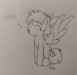 Size: 2848x2799 | Tagged: safe, artist:ponynamedmixtape, oc, oc only, oc:dauntless, pegasus, pony, behaving like a bird, chirping, cute, eye scar, eyes closed, female, high res, lineart, monochrome, scar, solo, spread wings, traditional art, wings