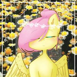 Size: 768x768 | Tagged: safe, artist:kanarithefox, fluttershy, pegasus, pony, g4, alternate hairstyle, bust, eye clipping through hair, eyes closed, female, flower, flower in hair, front view, full face view, hair bun, mare, portrait, solo, wings