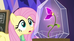 Size: 1920x1080 | Tagged: safe, screencap, fluttershy, pony, g4, growing up is hard to do, female, flower, mare, solo, wishing flower