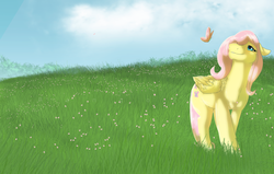 Size: 2200x1400 | Tagged: safe, artist:boxgoat, fluttershy, butterfly, pegasus, pony, g4, cloud, female, grass, mare, sky, smiling, solo