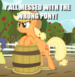 Size: 914x939 | Tagged: safe, edit, edited screencap, screencap, applejack, comet tail, g4, the super speedy cider squeezy 6000, barrel, caption, cropped, image macro, solo focus, text, y'all