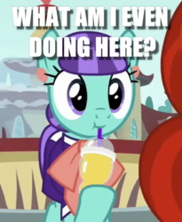 Size: 468x570 | Tagged: safe, edit, edited screencap, screencap, mixed berry, earth pony, pony, g4, the parent map, caption, cropped, cute, cuteaberry, image macro, solo focus, text