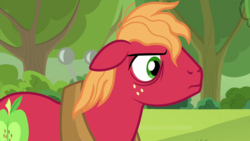 Size: 1920x1080 | Tagged: safe, screencap, big macintosh, earth pony, pony, g4, going to seed, apple, apple tree, bags under eyes, freckles, frown, male, solo, stallion, tree