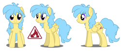 Size: 1664x707 | Tagged: safe, artist:flash equestria photography, oc, oc:mercury drop, pegasus, pony, cutie mark, female, mare, reference sheet, simple background, white background