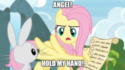Size: 888x499 | Tagged: safe, edit, edited screencap, screencap, angel bunny, fluttershy, pegasus, pony, rabbit, g4, she talks to angel, animal, caption, discovery family logo, female, image macro, imgflip, male, mare, meme, text, wing hands, wings