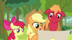 Size: 1920x1080 | Tagged: safe, screencap, apple bloom, applejack, big macintosh, earth pony, pony, g4, going to seed, apple siblings, apple sisters, brother and sister, female, filly, foal, male, mare, siblings, sisters, stallion, trio