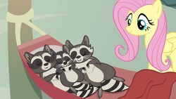Size: 1920x1080 | Tagged: safe, screencap, fluttershy, smoky, smoky jr., softpad, pegasus, pony, raccoon, g4, the big mac question, caretaker, claws, cute, eyes closed, family, father and son, female, folded wings, hammock, male, mare, mother and son, pleased, sleeping, smiling, son, wings