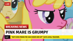 Size: 640x360 | Tagged: safe, edit, edited screencap, screencap, cherry berry, sunshower raindrops, earth pony, pegasus, pony, g4, season 3, too many pinkie pies, break your own news, breaking news, captain obvious, cherry berry is not amused, female, frown, grumpy, magenta body, magenta coat, magenta fur, magenta pony, mare, meme, purple eyes, solo focus, unamused, yellow hair, yellow mane