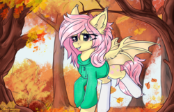 Size: 3400x2200 | Tagged: safe, artist:lakunae, fluttershy, bat pony, pony, g4, autumn, bat ponified, clothes, female, flutterbat, high res, hoodie, leaves, mare, race swap, smiling, socks