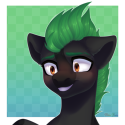 Size: 2500x2500 | Tagged: safe, artist:nika-rain, oc, oc only, earth pony, pony, bust, commission, cute, high res, male, portrait, simple background, smiling, solo