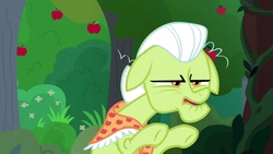 Size: 1920x1080 | Tagged: safe, screencap, granny smith, earth pony, pony, g4, the big mac question, apple, apple tree, clothes, female, mare, scarf, solo, tree