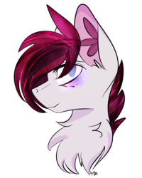Size: 1200x1500 | Tagged: safe, artist:apollnik, artist:spotsy47, oc, oc only, pony, bust, chest fluff, ear fluff, ethereal mane, looking at you, simple background, smiling, solo, starry mane, transparent background