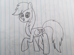 Size: 4032x3024 | Tagged: safe, artist:asiandra dash, rainbow dash, pegasus, pony, g4, cute, dashabetes, female, lined paper, long neck, pencil drawing, solo, traditional art