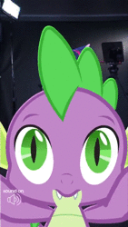 Size: 480x852 | Tagged: safe, screencap, spike, twilight sparkle, alicorn, pony, g4, official, animated, cute, discovery family, female, instagram, irl, mare, meme, photo, ponies in real life, pony history, sound, triggered, twilight sparkle (alicorn), webm
