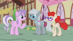 Size: 900x508 | Tagged: safe, screencap, diamond tiara, silver spoon, twist, earth pony, pony, g4, the last problem, adult, braid, female, glasses, jewelry, mare, necklace, older, older diamond tiara, older silver spoon, older twist, pearl necklace, physique difference, skinny, thin, trio