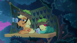 Size: 1920x1080 | Tagged: safe, screencap, apple bloom, applejack, earth pony, pony, g4, going to seed, binoculars, sleeping