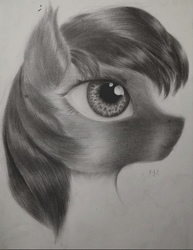 Size: 754x979 | Tagged: safe, artist:henry forewen, oc, oc only, pony, bust, monochrome, signature, simple background, sketch, solo, traditional art