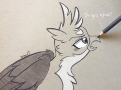 Size: 3497x2592 | Tagged: safe, artist:emberslament, gallus, griffon, g4, blushing, boop, colored pencil drawing, cute, dialogue, drawn into existence, gallabetes, high res, male, pencil boop, photo, profile, sketch, solo, traditional art