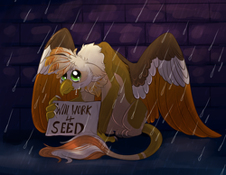 Size: 2700x2100 | Tagged: safe, artist:loryska, oc, oc only, oc:ember burd, griffon, begging, big eyes, brick wall, colored wings, crying, depressing, eared griffon, gradient wings, griffon oc, high res, homeless, looking up, multicolored wings, paws, rain, sad, series finale blues, sitting, solo, spread wings, talons, unemployment, will x for y, wings