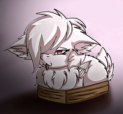 Size: 1548x1440 | Tagged: safe, artist:lostmystery, oc, oc only, deer, deer pony, hybrid, original species, peryton, pony, :3, :p, albino, box, butt fluff, cheek fluff, chest fluff, chibi, deer in a box, deer oc, doe, ear fluff, female, floppy ears, fluffy, hair over one eye, if i fits i sits, mare, pegasus oc, pony in a box, prone, solo, tongue out