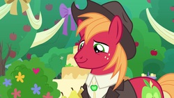 Size: 1920x1080 | Tagged: safe, screencap, big macintosh, earth pony, pony, g4, the big mac question, apple, apple tree, clothes, hat, male, solo, stallion, suit, tree