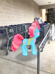 Size: 3024x4032 | Tagged: safe, gameloft, photographer:undeadponysoldier, cup cake, earth pony, pony, g4, augmented reality, female, irl, mare, photo, ponies in real life, shopping cart, solo