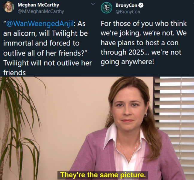 2168693 - safe, bronycon, implied twilight sparkle, meghan mccarthy, meme,  meta, pam beesly, text, the office, they're the same picture, twitter -  Derpibooru