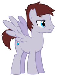 Size: 2291x3035 | Tagged: safe, artist:petraea, oc, oc only, pegasus, pony, high res, male, simple background, solo, stallion, transparent background, vector