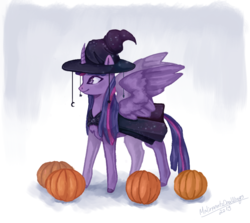 Size: 999x890 | Tagged: safe, artist:malinaartsdrawings, twilight sparkle, alicorn, pony, g4, chest fluff, clothes, costume, cute, female, halloween, halloween costume, hat, holiday, mare, pumpkin, twiabetes, twilight sparkle (alicorn), witch, witch hat