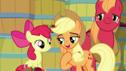 Size: 1920x1080 | Tagged: safe, screencap, apple bloom, applejack, big macintosh, earth pony, pony, g4, going to seed, apple, apple siblings, apple sisters, barrel, brother and sister, female, filly, foal, food, lidded eyes, male, mare, open mouth, siblings, sisters, smiling, stallion, trio