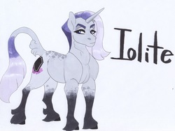 Size: 3831x2881 | Tagged: safe, artist:frozensoulpony, oc, oc only, oc:iolite pie, pony, unicorn, high res, male, offspring, parent:maud pie, parent:mud briar, parents:maudbriar, solo, stallion, traditional art