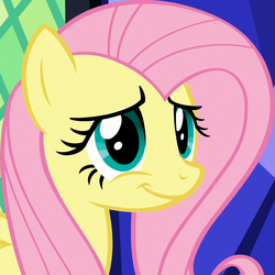 Size: 1014x1014 | Tagged: safe, screencap, fluttershy, pegasus, pony, g4, the last problem, cropped, cute, daaaaaaaaaaaw, female, hnnng, mare, shyabetes, smiling, solo, weapons-grade cute
