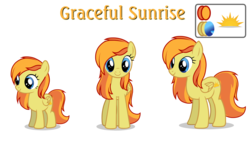 Size: 2560x1440 | Tagged: safe, artist:toinfinity, oc, oc only, oc:graceful sunrise, pegasus, pony, cutie mark, female, filly, mare, reference sheet, show accurate, simple background, transparent background