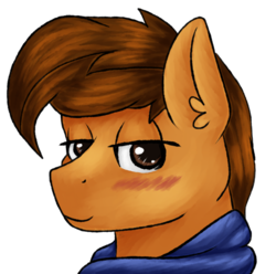 Size: 2016x2000 | Tagged: safe, artist:sevenserenity, oc, oc only, oc:toanderic, pegasus, pony, birthday, blushing, bust, clothes, high res, looking at you, portrait, scarf, solo