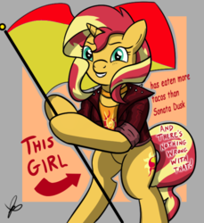Size: 550x600 | Tagged: safe, artist:thedrizzle404, edit, sonata dusk, sunset shimmer, pony, unicorn, g4, arrow, bipedal, choker, clothes, female, flag, flag pole, food, grin, hoof hold, implied lesbian, implied sonata dusk, jacket, jewelry, leather jacket, looking at you, mare, meme, pride, pride flag, signature, smiling, solo, sonataco, squee, standing upright, taco, text, this cat is gay and there's nothing you can do about it