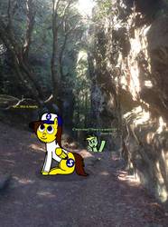 Size: 772x1035 | Tagged: safe, artist:didgereethebrony, part of a set, oc, oc:didgeree, oc:ponyseb, pegasus, pony, 1000 hours in ms paint, australia, blue mountains, cliff, clothes, didgeree collection, eucalyptus, hat, hunter valley, irl, mlp in australia, photo, ponies in real life, sweater, tree