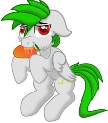 Size: 4253x4826 | Tagged: safe, artist:speedrunnerg55, oc, oc only, oc:echo bounce, pegasus, pony, cheek fluff, derp, eating, floppy ears, fluffy, food, holding, implied fangs, male, mango, simple background, solo, transparent background, wings